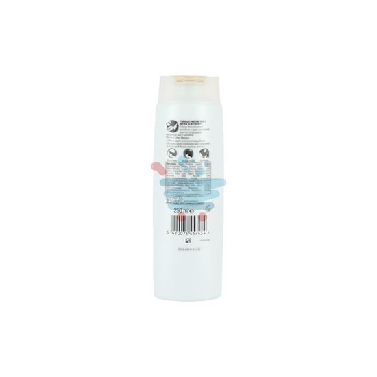 PANTENE PRO-V SHAMPOO LINEA CLASSICA 250ML
