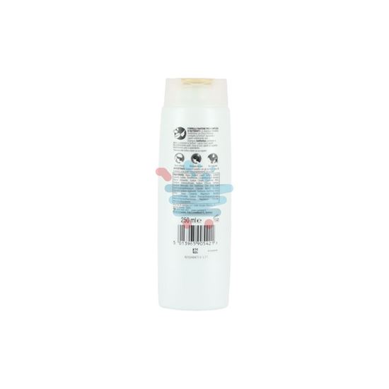 PANTENE PRO-V SHAMPOO  ANTIFORFORA CLASSICA 250ML