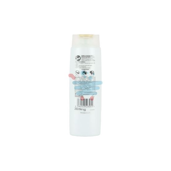 PANTENE PRO-V SHAMPOO  PERFECT HYDRATION 250ML