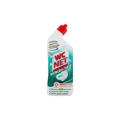 WC NET DISINCROSTANTE GEL 700ML