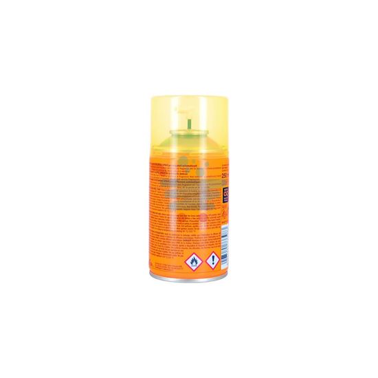 AIR FLOR DEODORANTE AMBIENTE RICARICA SPRAY EARTH PARADISE 250ML