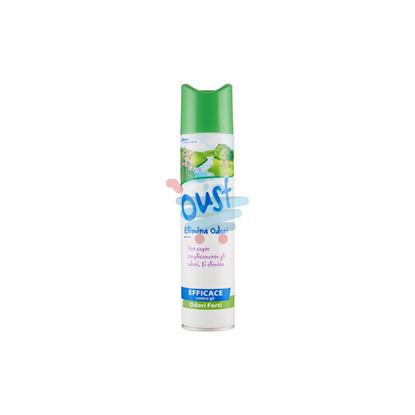 OUST DEO VERDE SPRAY 300 ML