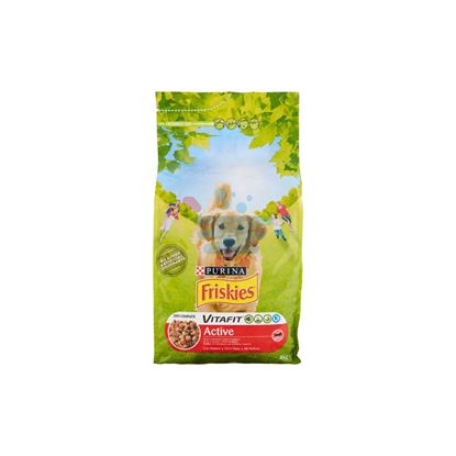 FRISKIES CROCC. CANE ACTIVE KG.4