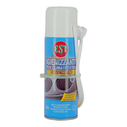 EST IGIENIZZANTE PER CLIMATIZZATORI 200ML