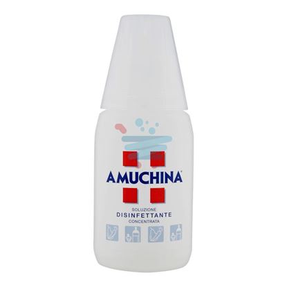 AMUCHINA DISINFETTANTE 250ML