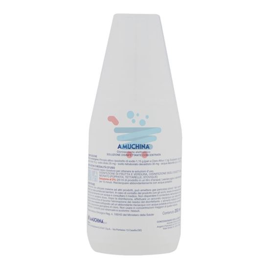 AMUCHINA DISINFETTANTE 250ML