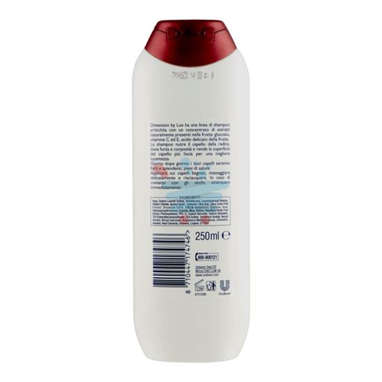 DIMENSION SHAMPOO SECCHI 250 ML.