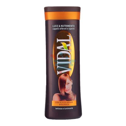 VIDAL SHAMPOO ARGAN 250ML