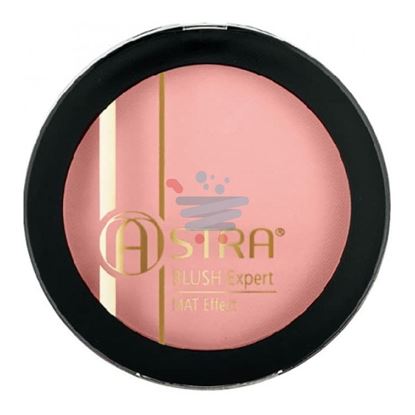 ASTRA BLUSH EXPERT MAT EFFECT FARD 03