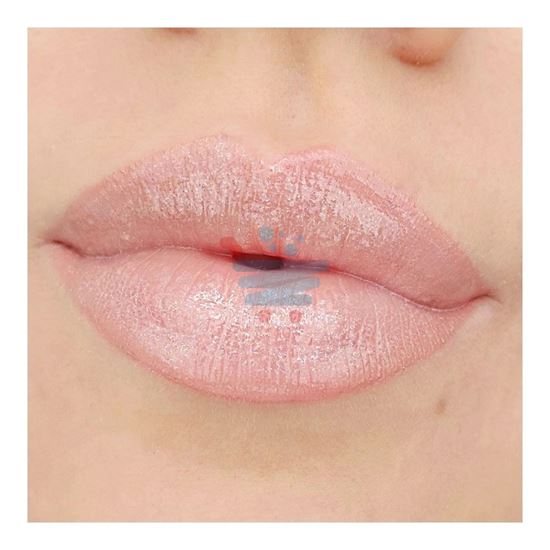 ASTRA MY GLOSS PLUMP&SHINE 1