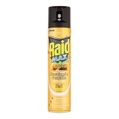 RAID MAX SCARAFAGGI E FORMICHE 3IN1 300 ML