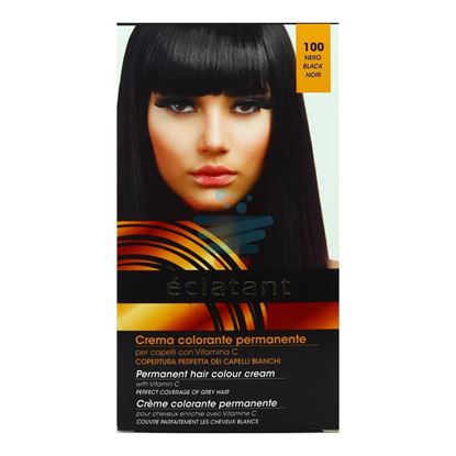 DIKSON ECLATANT SHAMPOO COLOR NERO 100