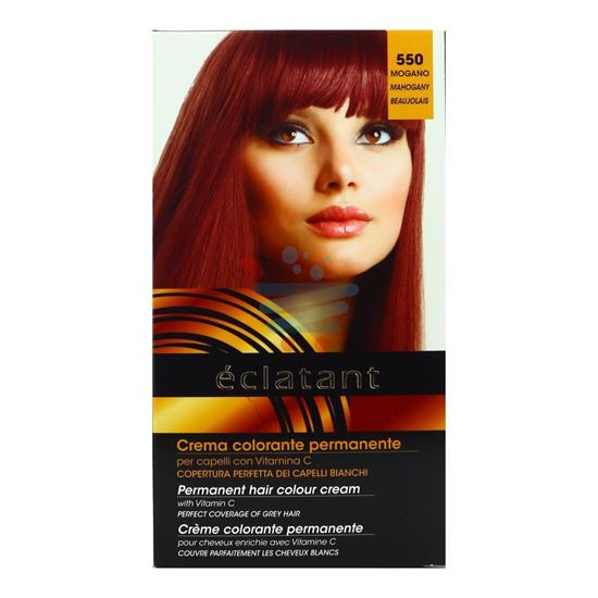 DIKSON ECLATANT SHAMPOO COLOR MOGANO 550