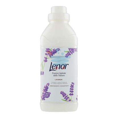 LENOR AMMORBIDENTE CONCENTRATO ESSENZE ISPIRATE DALLA NATURA LAVANDA 22 LAVAGGI 550 ML