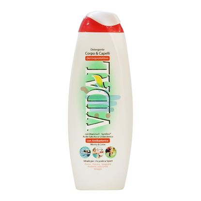 VIDAL BAGNO CORPO E CAPELLI ANTIBATTERICO 500 ML