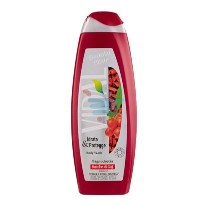 VIDAL BAGNO BACCHE DI GOJI 500 ML