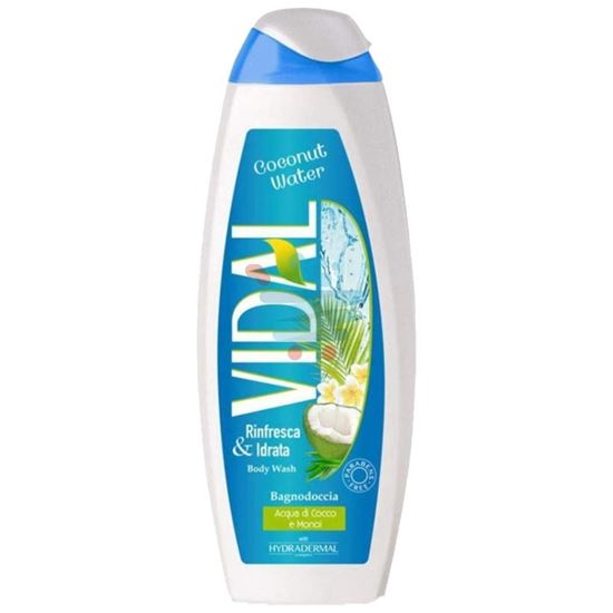 VIDAL BAGNO COCONUT WATER ACQUA DI COCCO 500 ML