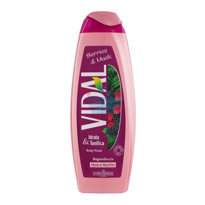 VIDAL BAGNO MORA E MUSCHIO 500 ML