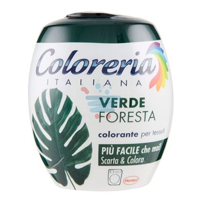 COLORERIA ITALIANA VERDE FORESTA 350GR