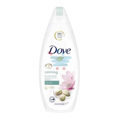 DOVE BODY WASH PISTACHIO & MAGNOLIA 250ML