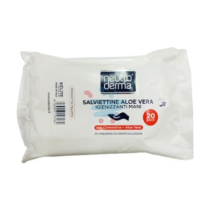 NEUTRODERMA SALVIETTE IGIENIZZANTE MANI 20PZ