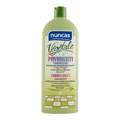 NUNCAS VEGETALE PAVIMENTO CONCENTRATO 1LT