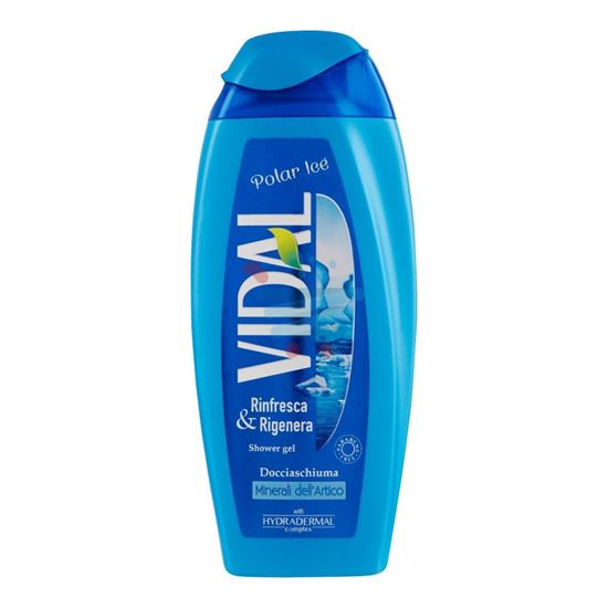 VIDAL DOCCIA POLAR ICE 250ML