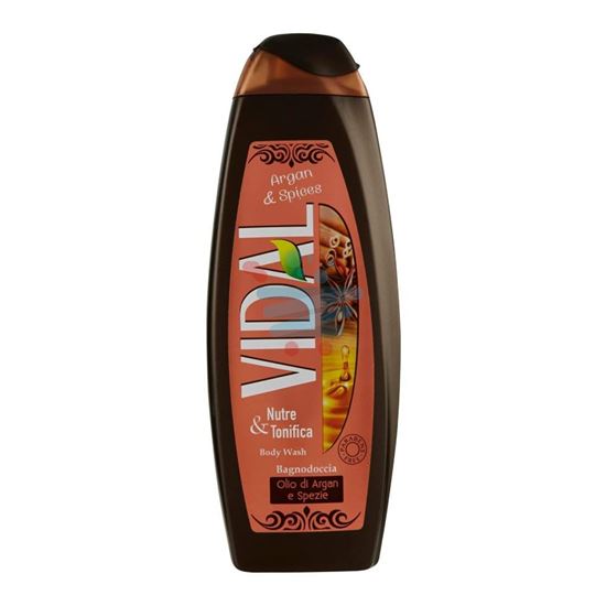 VIDAL BAGNO OLIO DI ARGAN E SPEZIE 500ML