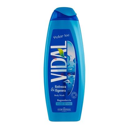 VIDAL BAGNO POLAR ICE 500ML