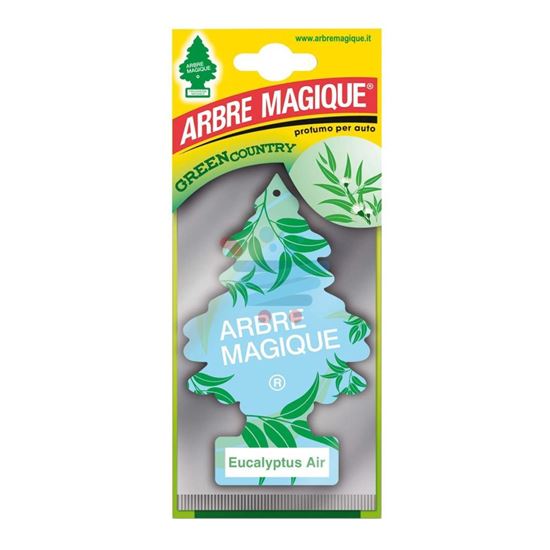 ARBRE MAGIQUE MONO BLACK EUCALYPTUS AIR