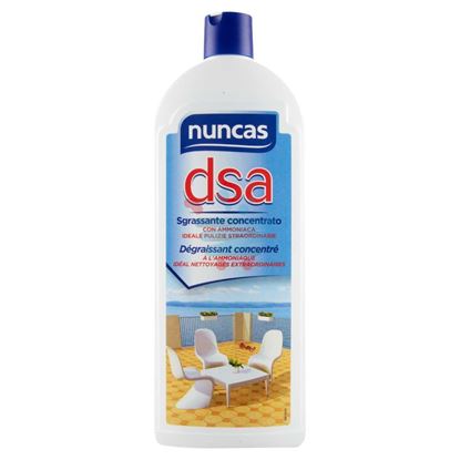 NUNCAS DSA SGRASSANTE CONCENTRATO CON AMMONIACA 1 LT