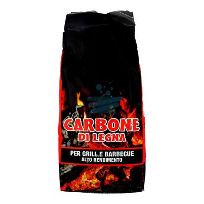 LA FORNACELLA CARBONE DI LEGNA DA 2.5KG