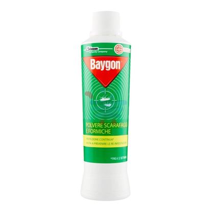 BAYGON POLVERE SCARAFAGGI E FORMICHE 250GR