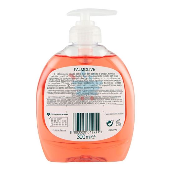 PALMOLIVE SAPONE LIQUIDO FAMILYHYGIENE PLUS 300 ML