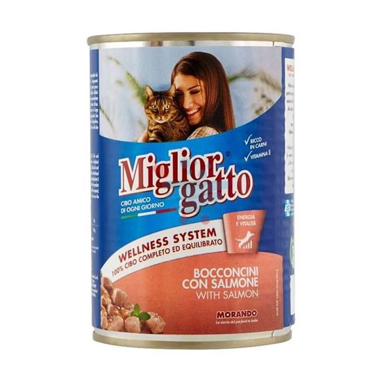 MIGLIOR GATTO BOCCONI SALMONE 405GR