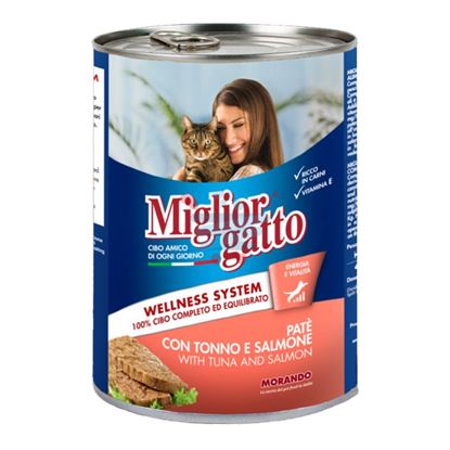 MIGLIOR GATTO PATE TONNO SALMONE 400GR