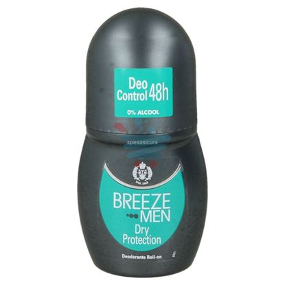 BREEZE DEODORANTE ROLL ON MEN DRY PROTECTION 50 ML.