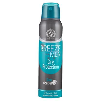 BREEZE DEODORANTE SPRAY DRY PROTECTION 150ML