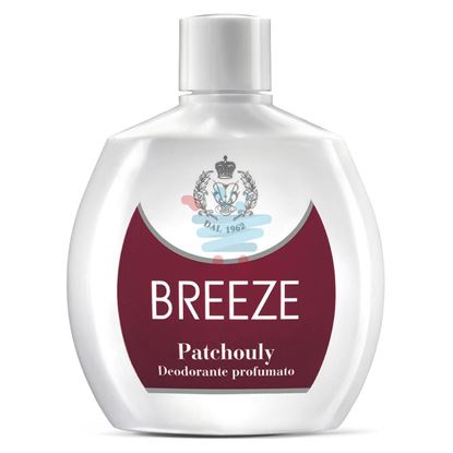 BREEZE DEODORANTE SQUEEZE PATCHOULY 100ML