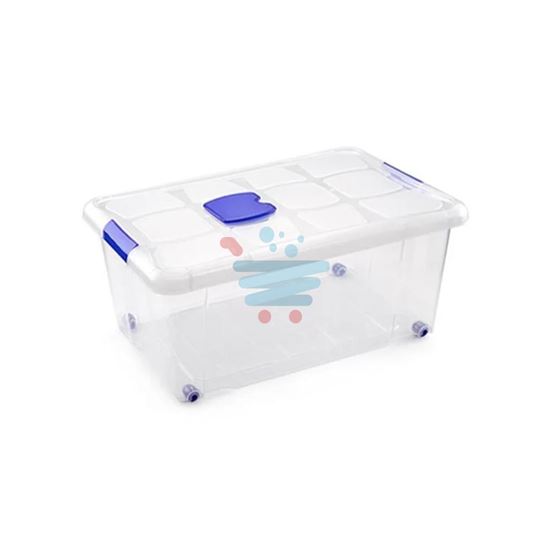 PLASTICFORTE BOX CON COPERCHIO 36LT