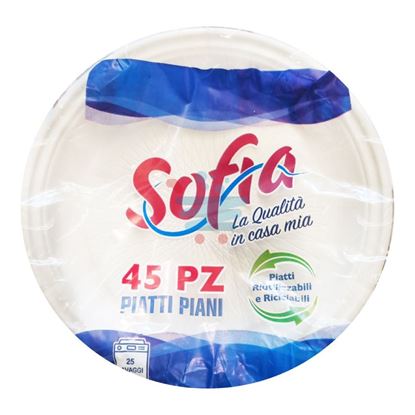 SOFIA PIATTI PIANI RIUTILIZZABILI 1KG 45 PEZZI