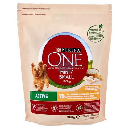 PURINA ONE CROCCHETTE MINI CANE POLLO E RISO 800GR