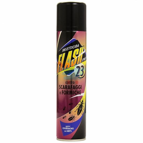 FLASH  SCARAFAGGI E FORMICHE SPRAY 250 ML