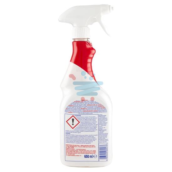 BIO FORM SPRAY DISINFETTANTE 650ML
