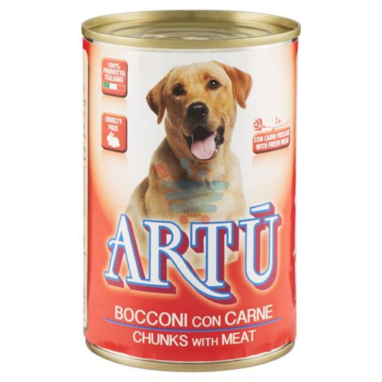 MONGE ARTU CANE CARNE 415GR