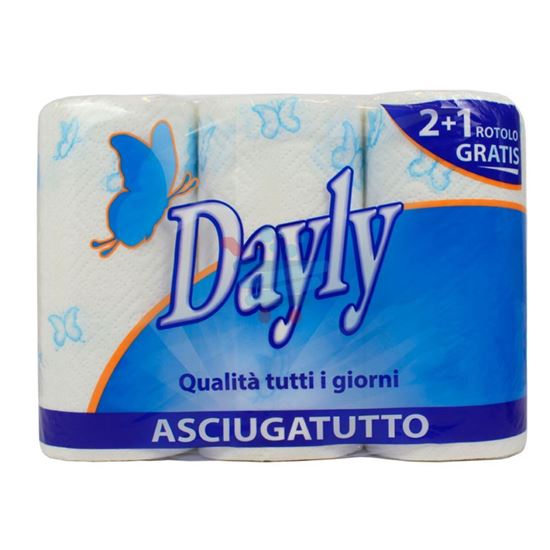 DAYLY ASCIUGATUTTO 3 ROTOLI 2 VELI 70 STRAPPI